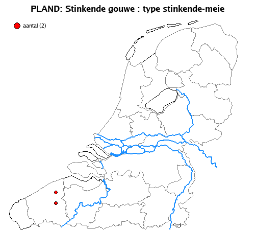 stinkende-meie